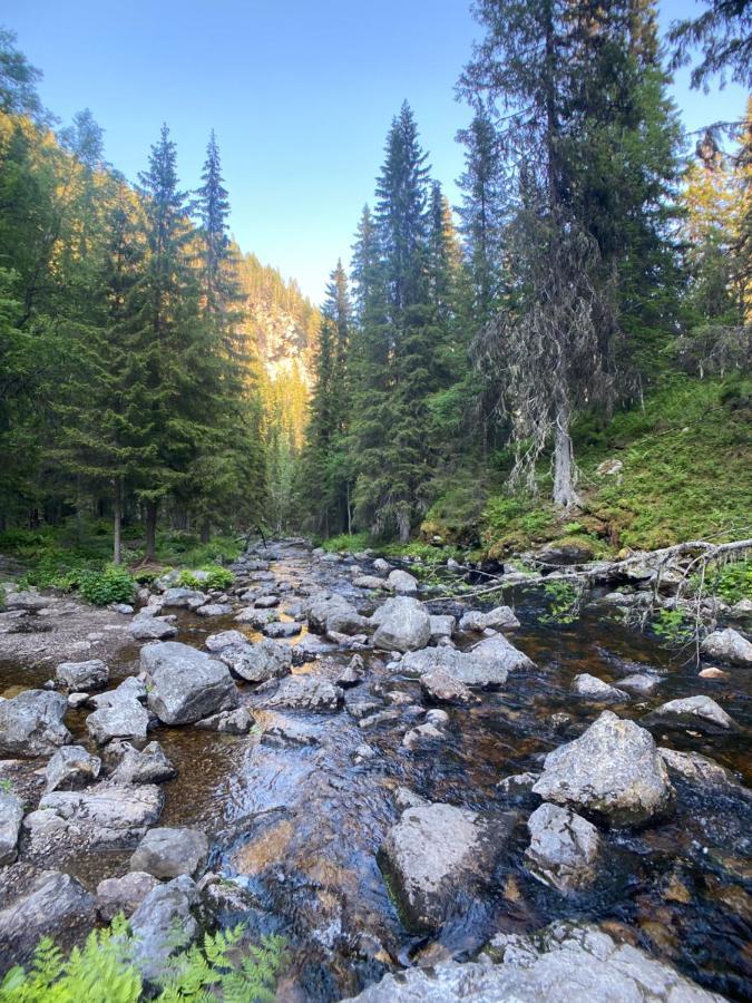 Sonfjaellsgardens Waerdshus & Hotell Hede  Zewnętrze zdjęcie