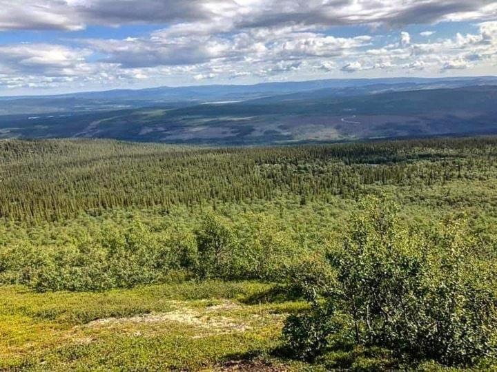 Sonfjaellsgardens Waerdshus & Hotell Hede  Zewnętrze zdjęcie